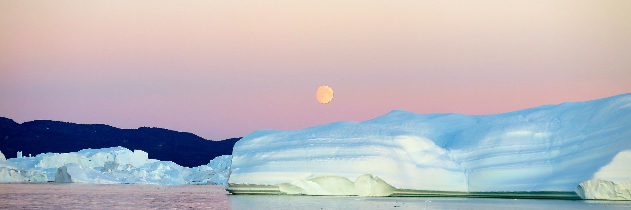 Géraldine Danon banner