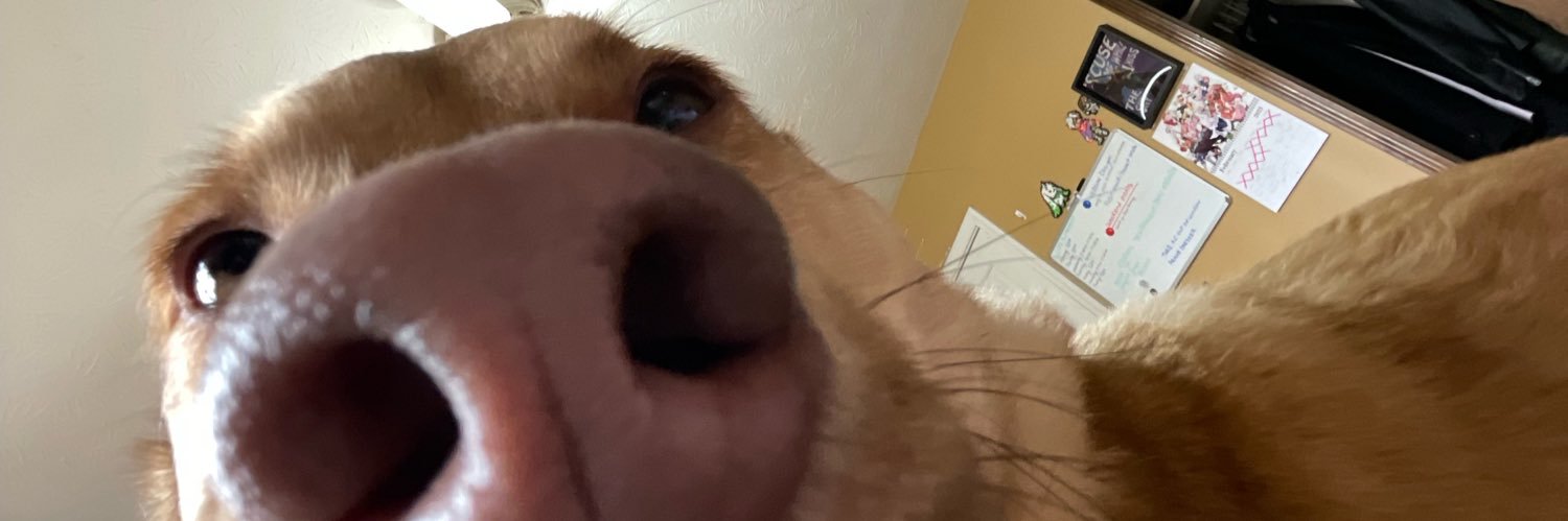barnacleeeee's profile banner image