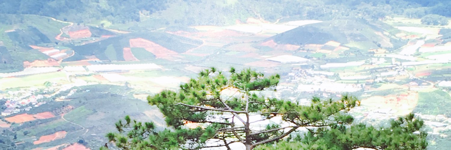 hungtran789's profile banner image