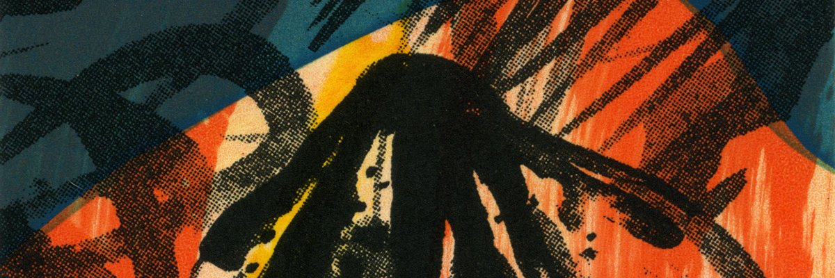 Cat Among The Pigeons Press banner