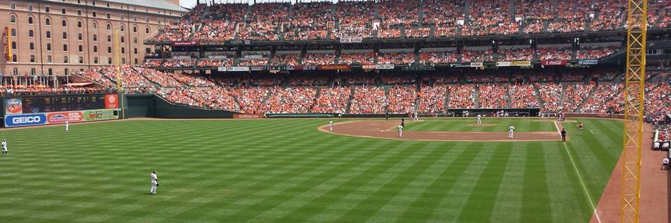 Wes Fox banner