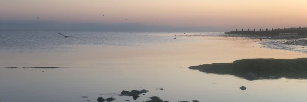 AlexCSimmons Profile Banner