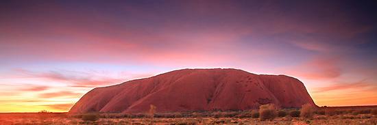 aussieredsnail's profile banner image