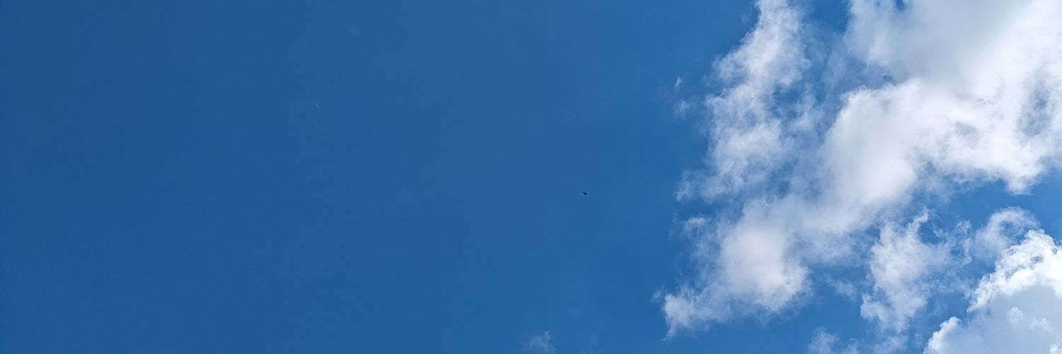 Dr Deborah Wilson banner