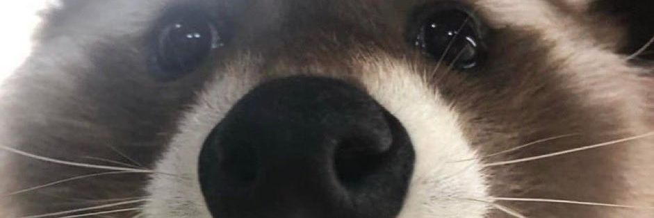 klawd___'s profile banner image