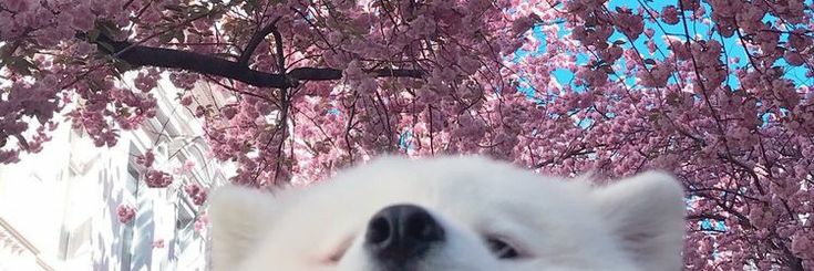 eeclipseee_'s profile banner image