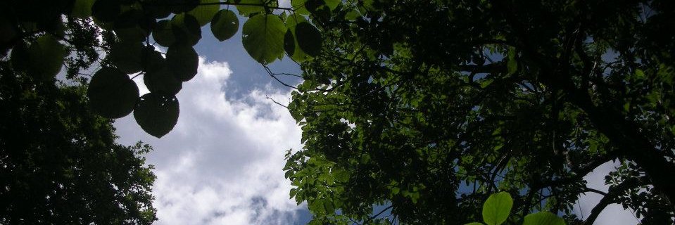 kokia1115's profile banner image