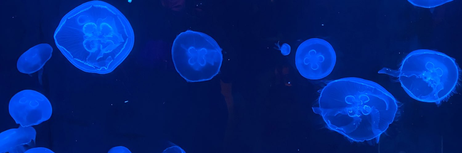 TylerjaiM's profile banner image
