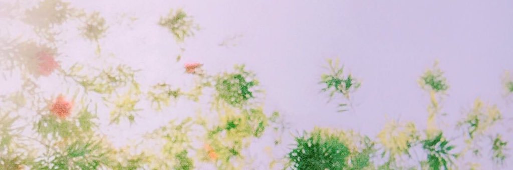 drdrdaring's profile banner image