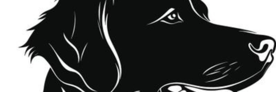 fufurainbow's profile banner image