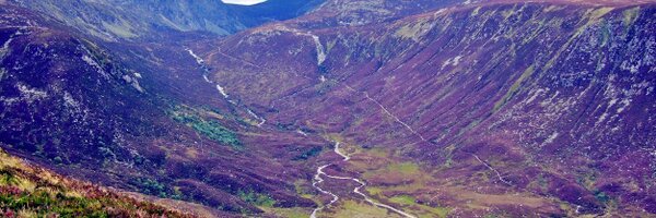 DerekAllison Profile Banner