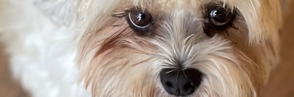 tamazinm's profile banner image