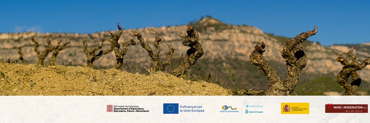 doqpriorat's profile banner image