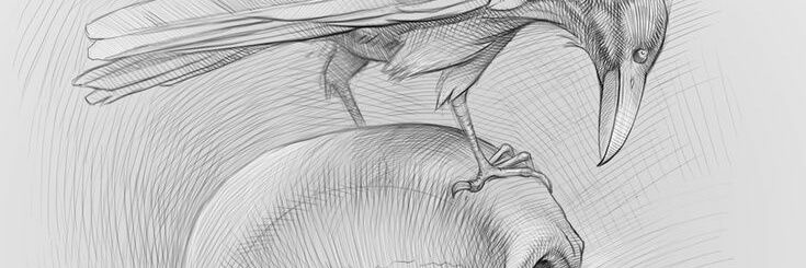 phaatb's profile banner image