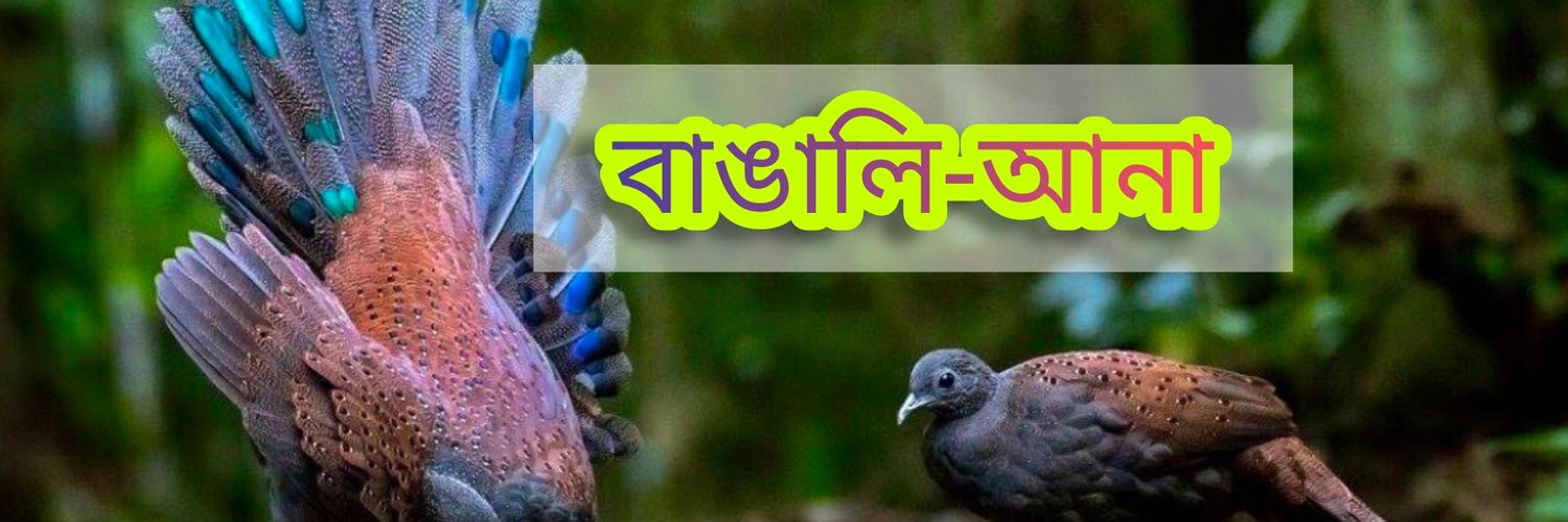 Bangaliana_'s profile banner image