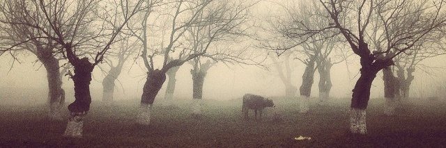 JabrayilovMusa's profile banner image