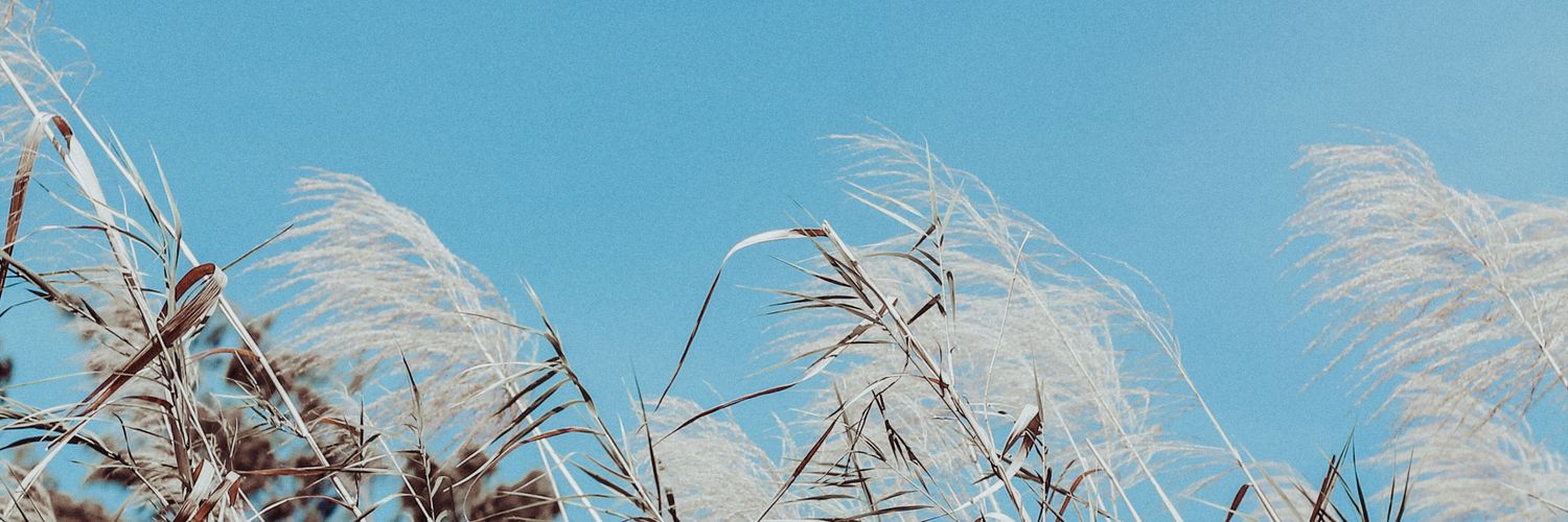 _johncarloreyes's profile banner image