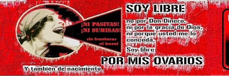MMJJsinBozal's profile banner image