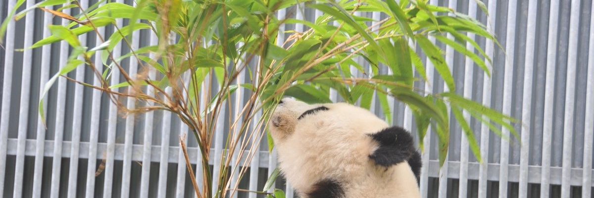 pdqb0298's profile banner image