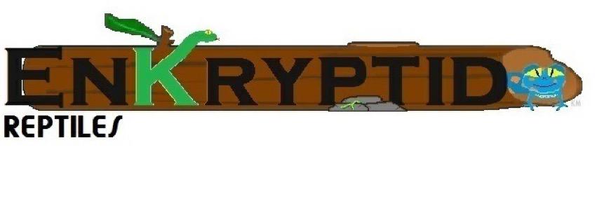 EnKryptid's profile banner image
