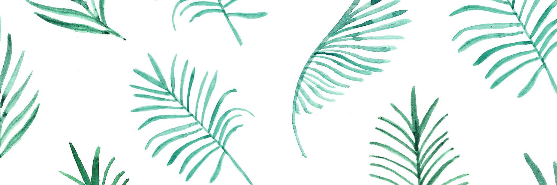 MaryStribley's profile banner image