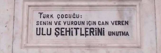 Merve 🦦 banner