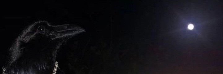 thxarex's profile banner image
