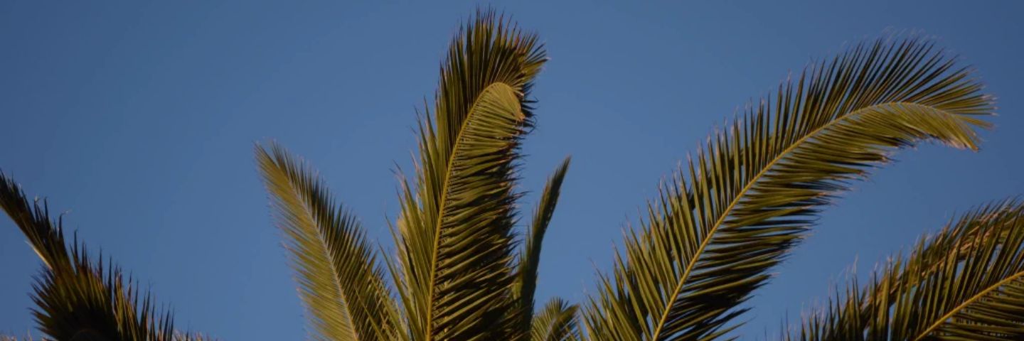 JtRolfsen's profile banner image