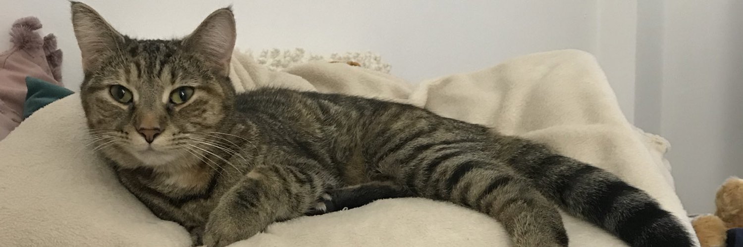lexeywatson's profile banner image
