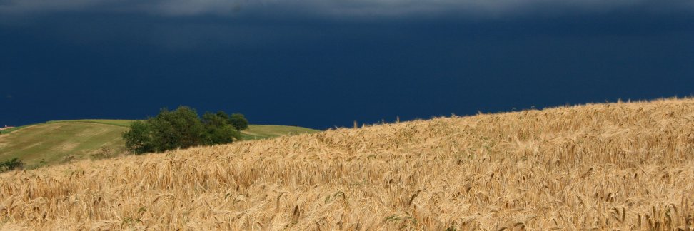 PhilippeBrunet's profile banner image