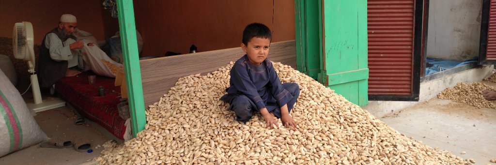 Development Solutions Inc. banner