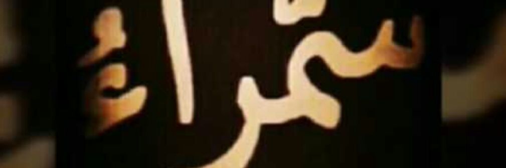AAareef195's profile banner image