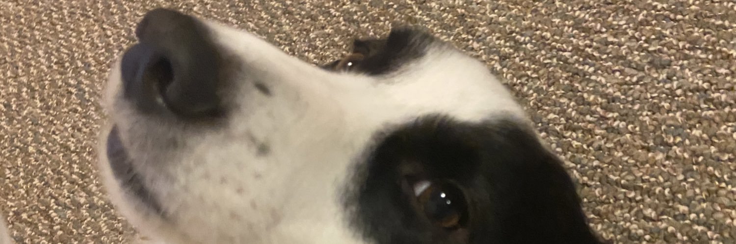 baicline's profile banner image