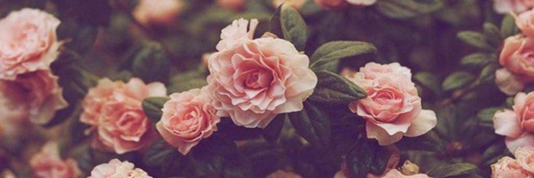 emgee__'s profile banner image