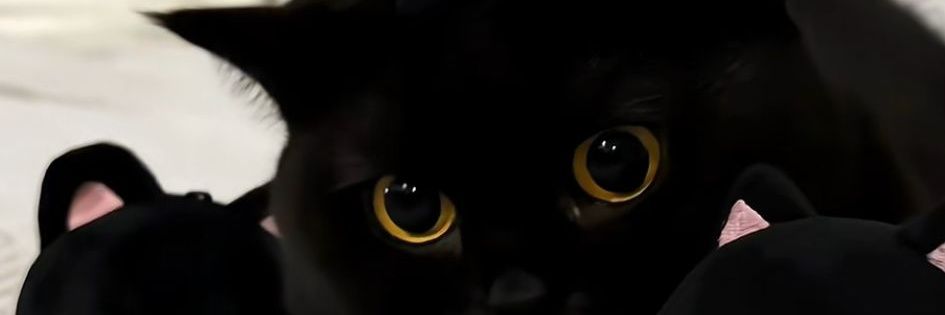 Narvik32's profile banner image