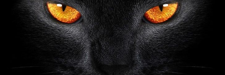 edwinraditya_'s profile banner image