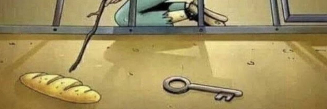 Krystian Fijałkowski banner