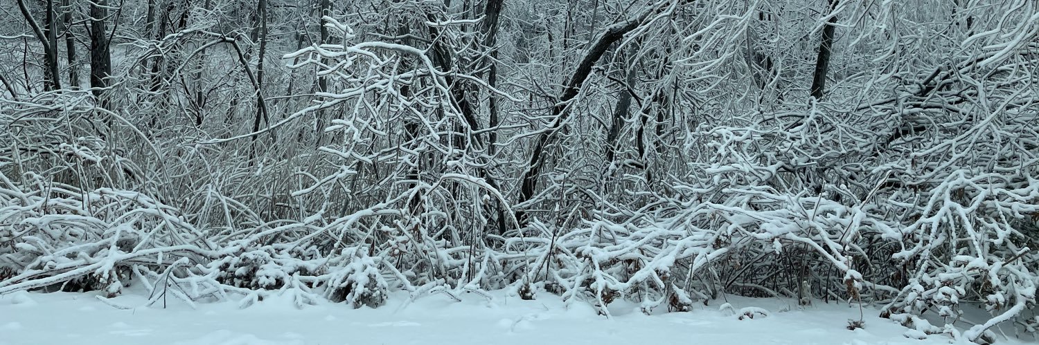 TinkRamsee's profile banner image