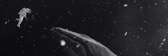 _pposhh_'s profile banner image