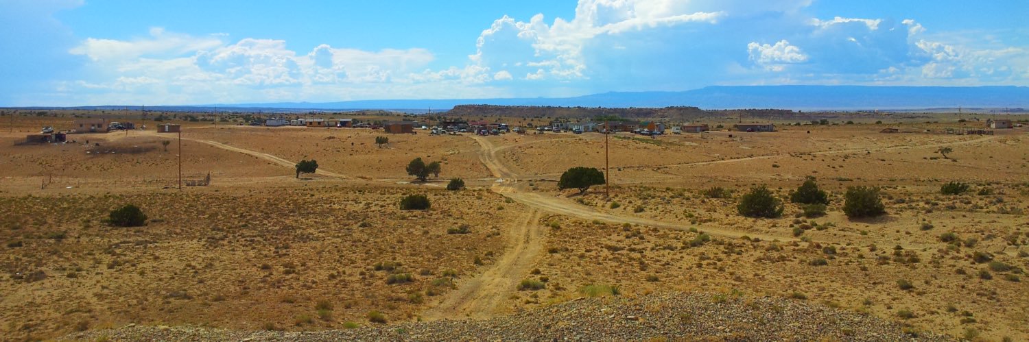 Ernestine Chaco, MD,JD,MS banner