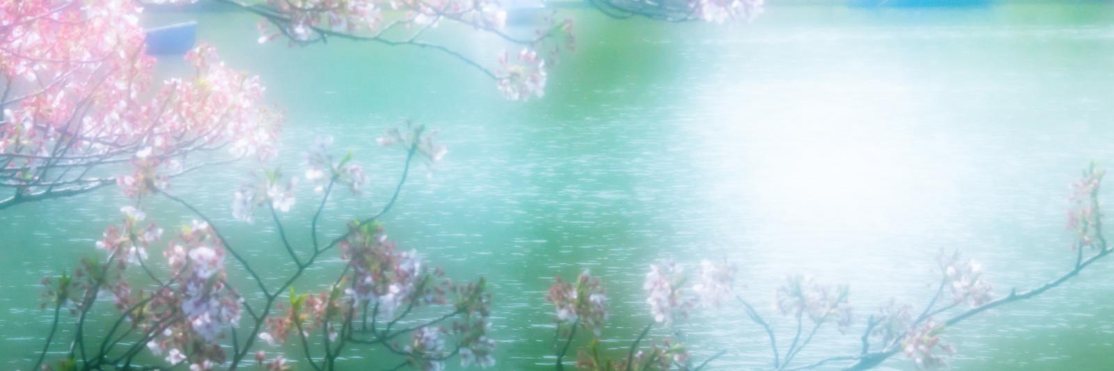 nmp2015's profile banner image