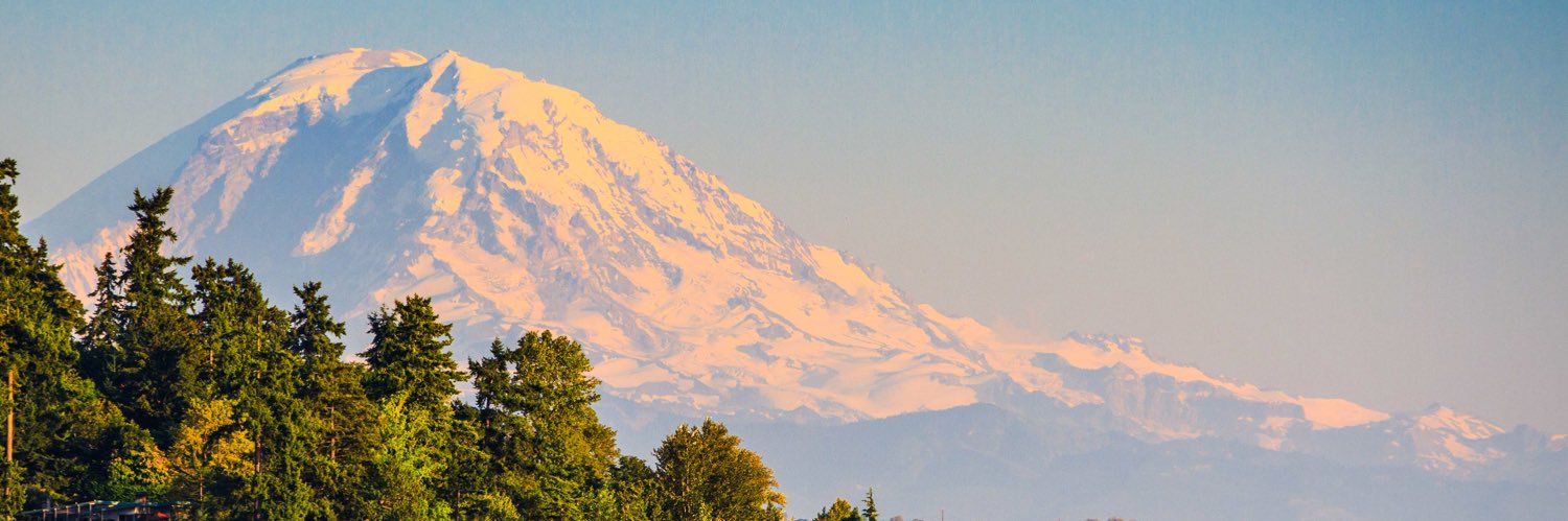 Laurent Rotival banner