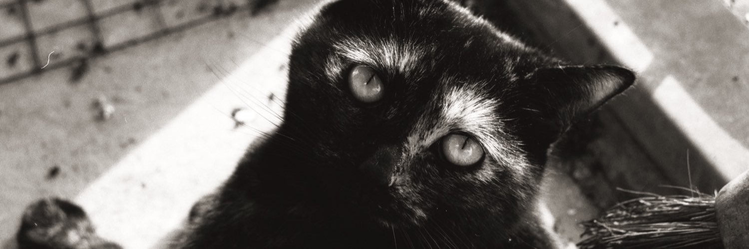 Harry_Sully's profile banner image
