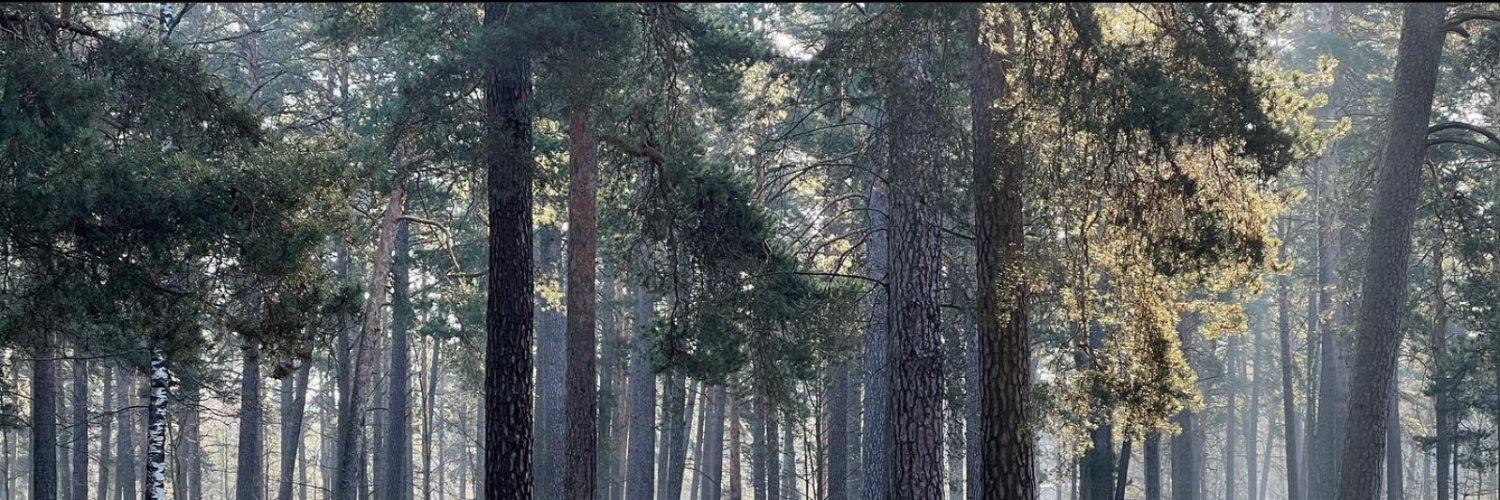 necugcl's profile banner image
