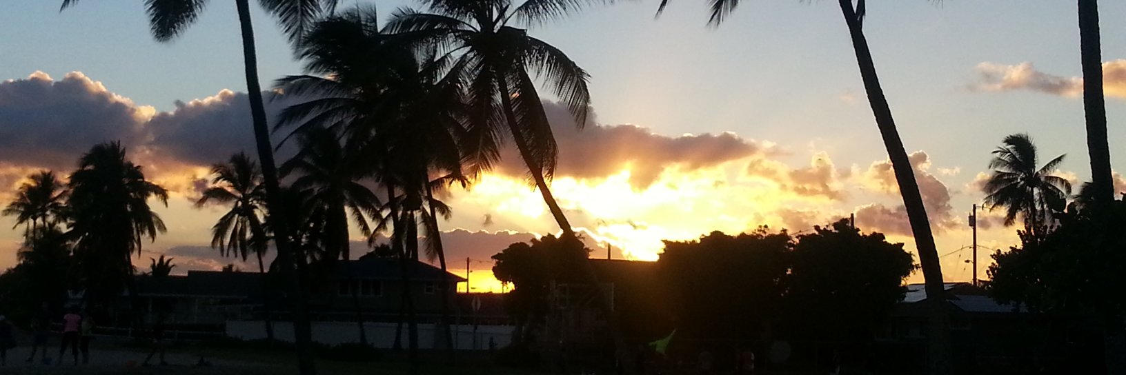 🌺Carmen🌺 banner