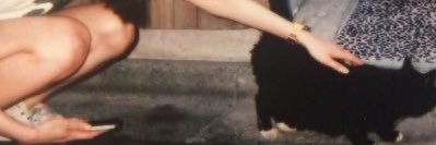 nicoteana's profile banner image