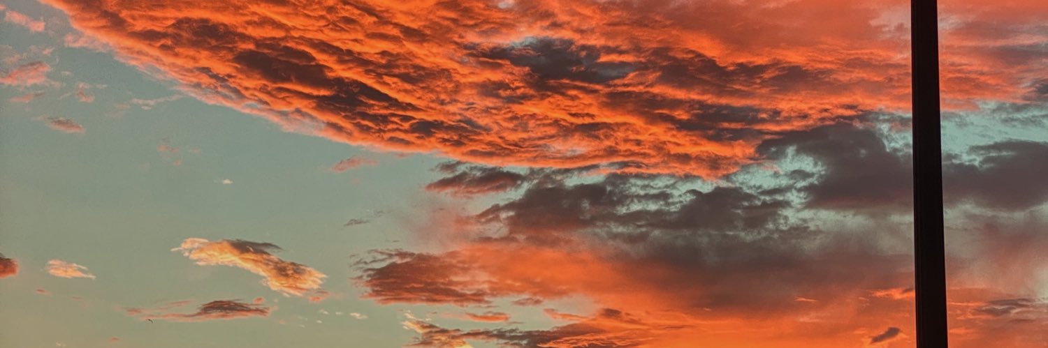 Chloé Solomon banner