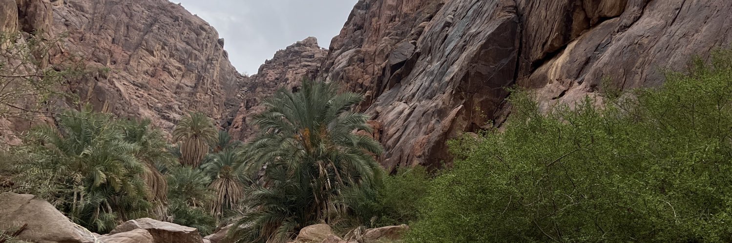 sharhan00's profile banner image