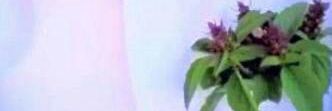 A______7i's profile banner image