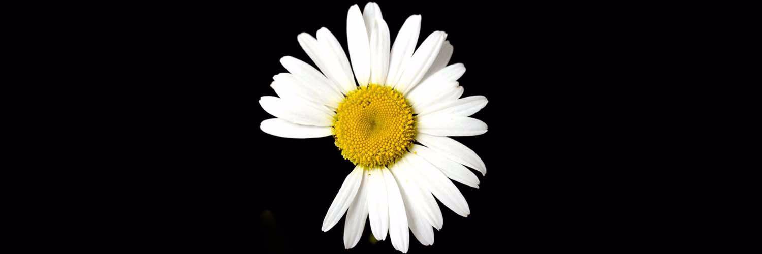 DunhurstScience's profile banner image